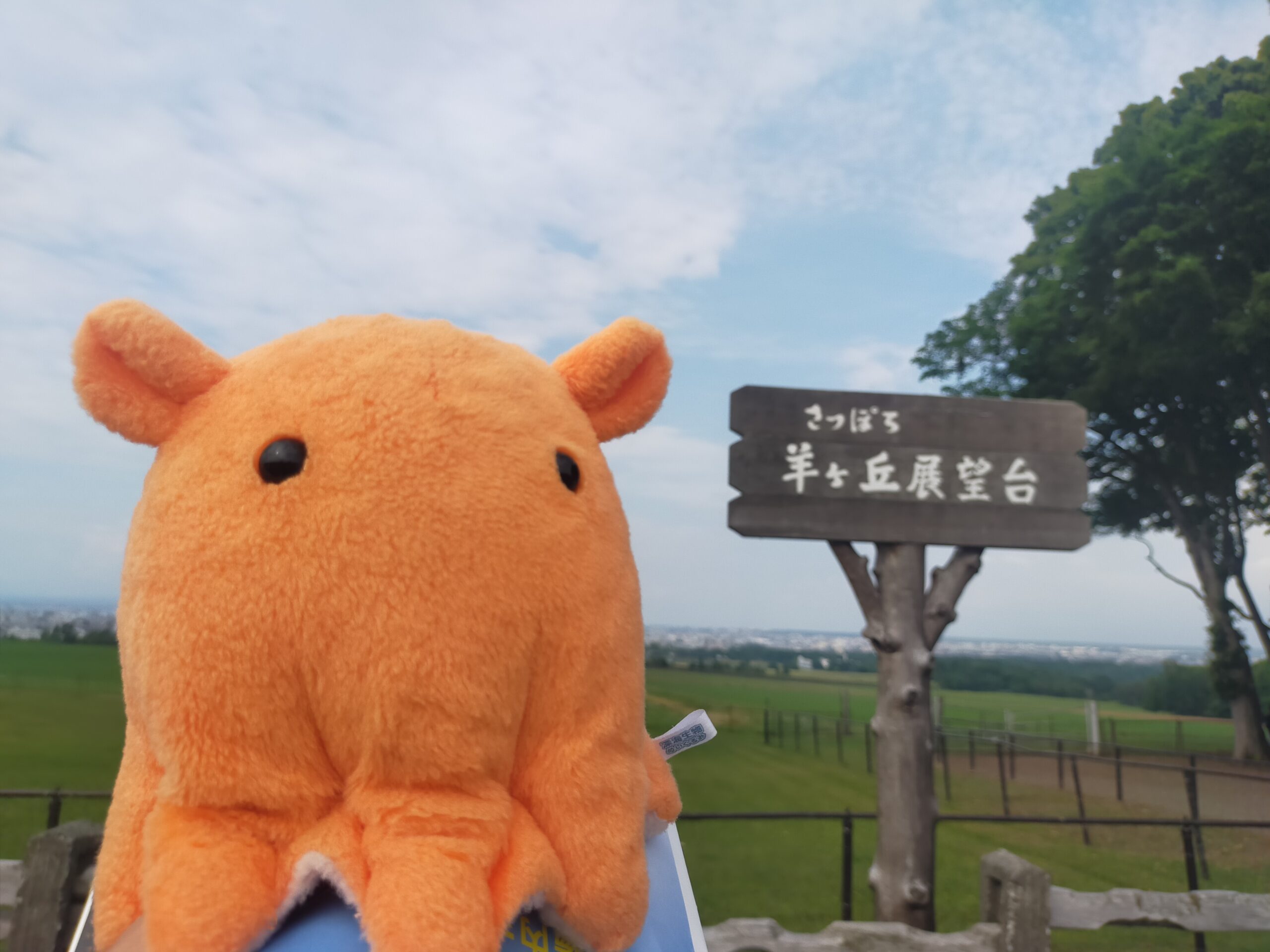 少年よ大志を抱け